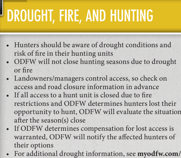 the highlighted excerpt of page 34