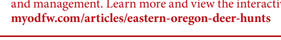 the highlighted excerpt of page 34