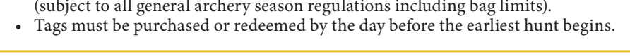 the highlighted excerpt of page 40