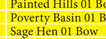the highlighted excerpt of page 41