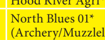 the highlighted excerpt of page 44