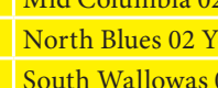 the highlighted excerpt of page 45
