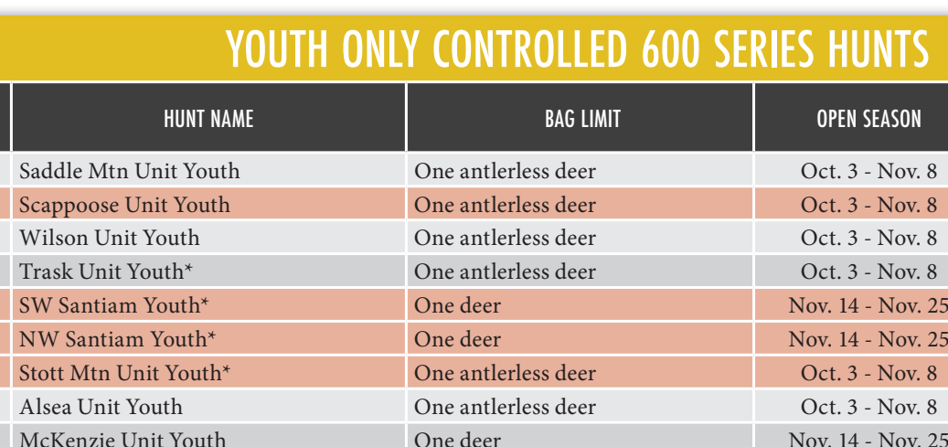 the highlighted excerpt of page 45