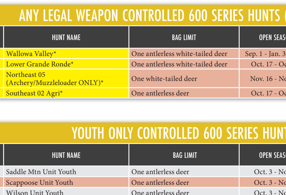 the highlighted excerpt of page 45