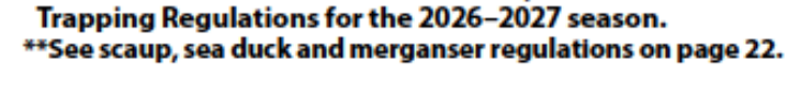 the highlighted excerpt of page 34