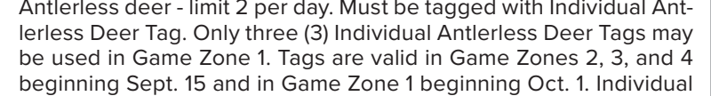 the highlighted excerpt of page 62