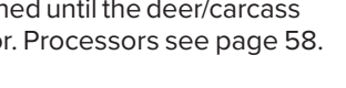 the highlighted excerpt of page 62