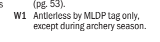 the highlighted excerpt of page 16