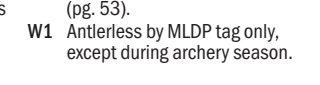 the highlighted excerpt of page 17