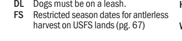 the highlighted excerpt of page 19