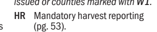 the highlighted excerpt of page 21