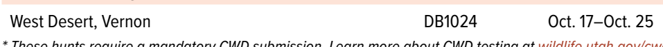 the highlighted excerpt of page 51
