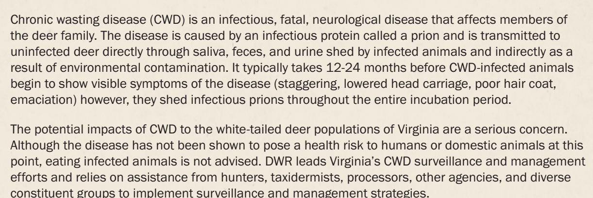 the highlighted excerpt of page 17