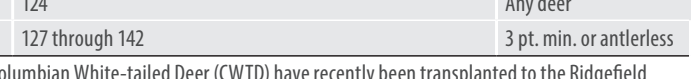 the highlighted excerpt of page 22