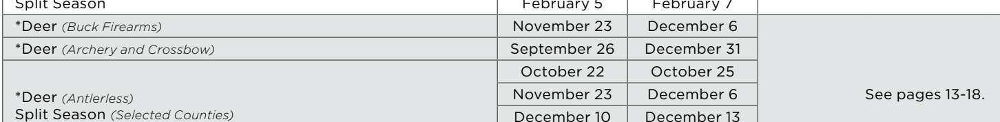 the highlighted excerpt of page 4